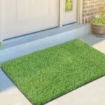 Door Floor Mat