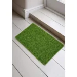 Door Floor Mat
